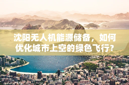 沈阳无人机能源储备，如何优化城市上空的绿色飞行？