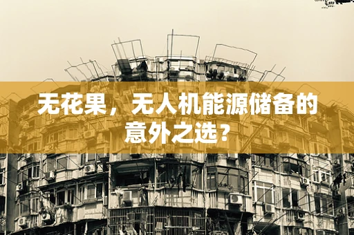 无花果，无人机能源储备的意外之选？