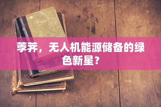 荸荠，无人机能源储备的绿色新星？