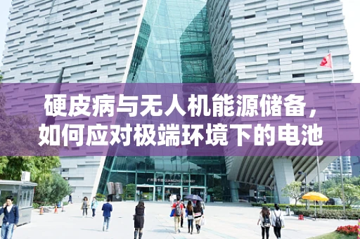 硬皮病与无人机能源储备，如何应对极端环境下的电池性能挑战？