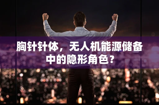 胸针针体，无人机能源储备中的隐形角色？