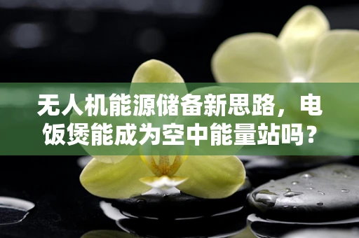 无人机能源储备新思路，电饭煲能成为空中能量站吗？
