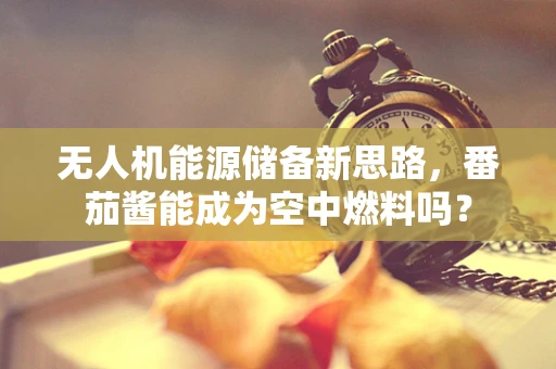 无人机能源储备新思路，番茄酱能成为空中燃料吗？