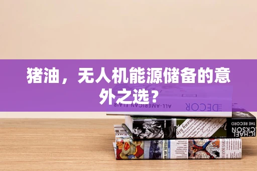 猪油，无人机能源储备的意外之选？