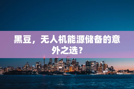 黑豆，无人机能源储备的意外之选？