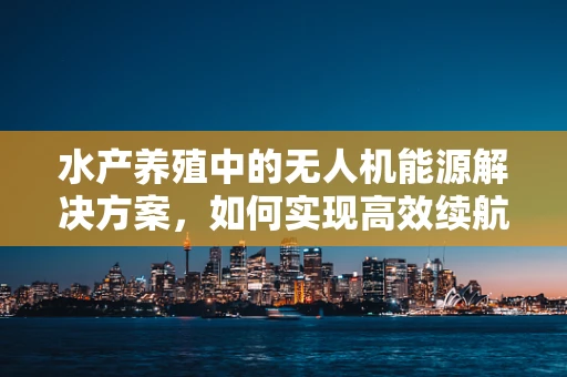水产养殖中的无人机能源解决方案，如何实现高效续航？