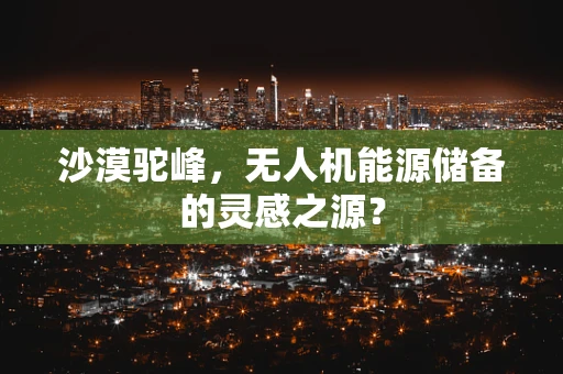 沙漠驼峰，无人机能源储备的灵感之源？