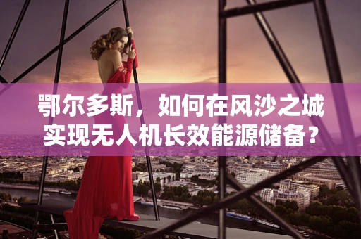 鄂尔多斯，如何在风沙之城实现无人机长效能源储备？