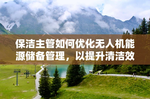 保洁主管如何优化无人机能源储备管理，以提升清洁效率？