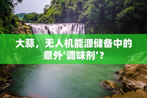 大蒜，无人机能源储备中的意外‘调味剂’？