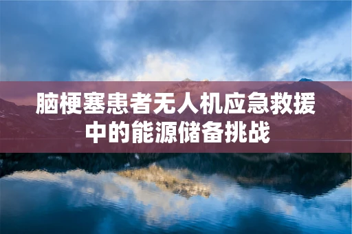 脑梗塞患者无人机应急救援中的能源储备挑战