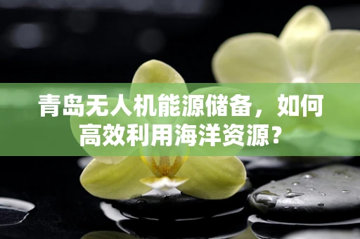 青岛无人机能源储备，如何高效利用海洋资源？
