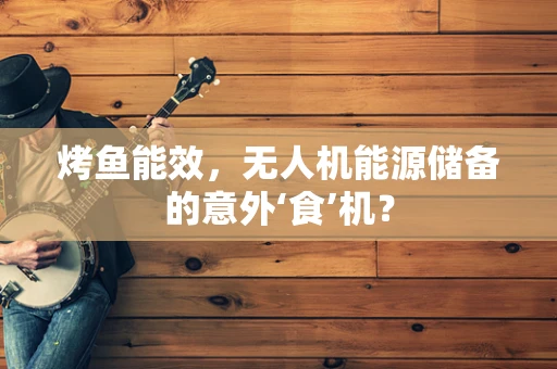 烤鱼能效，无人机能源储备的意外‘食’机？