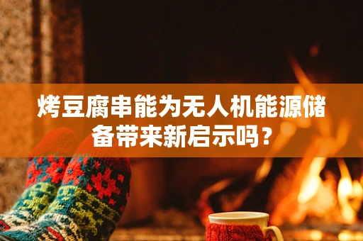 烤豆腐串能为无人机能源储备带来新启示吗？