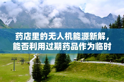 药店里的无人机能源新解，能否利用过期药品作为临时能源储备？