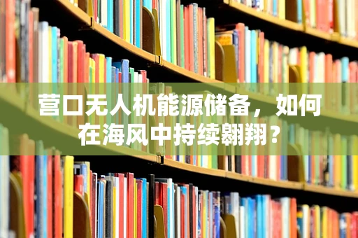 营口无人机能源储备，如何在海风中持续翱翔？
