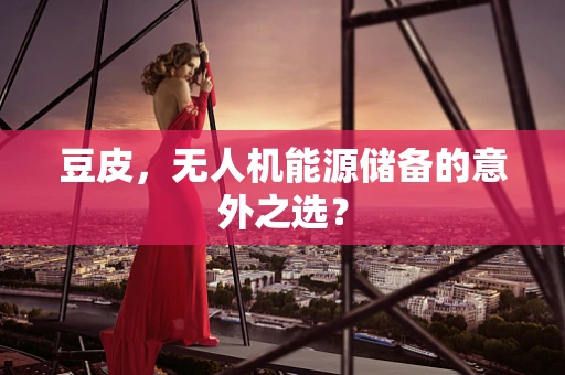 豆皮，无人机能源储备的意外之选？