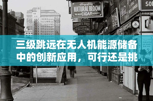 三级跳远在无人机能源储备中的创新应用，可行还是挑战？