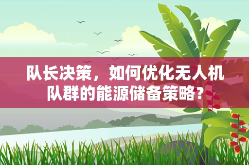 队长决策，如何优化无人机队群的能源储备策略？