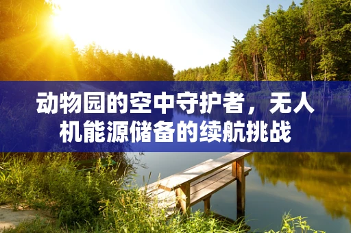 动物园的空中守护者，无人机能源储备的续航挑战