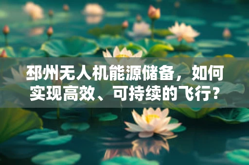 邳州无人机能源储备，如何实现高效、可持续的飞行？