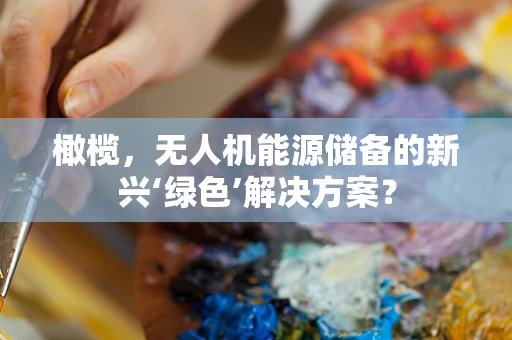 橄榄，无人机能源储备的新兴‘绿色’解决方案？