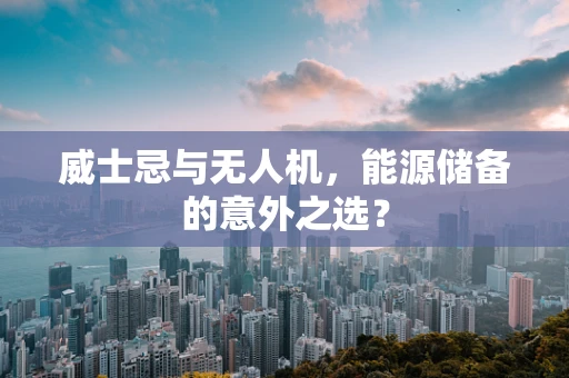 威士忌与无人机，能源储备的意外之选？