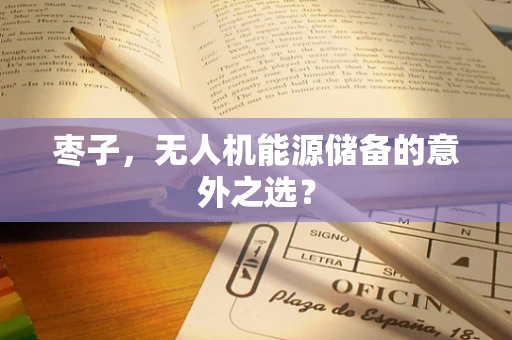 枣子，无人机能源储备的意外之选？