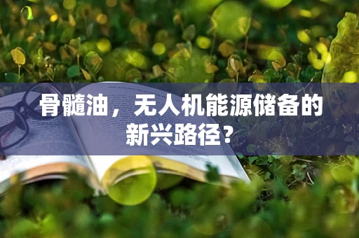 骨髓油，无人机能源储备的新兴路径？