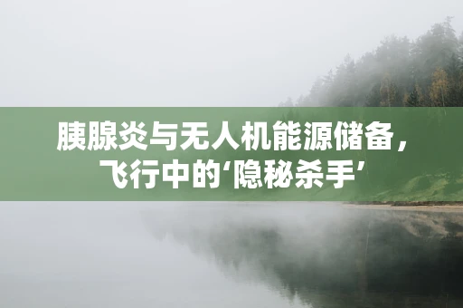 胰腺炎与无人机能源储备，飞行中的‘隐秘杀手’