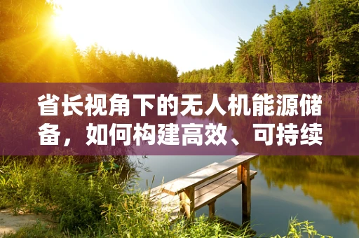 省长视角下的无人机能源储备，如何构建高效、可持续的空中能源网络？