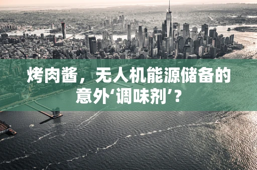 烤肉酱，无人机能源储备的意外‘调味剂’？
