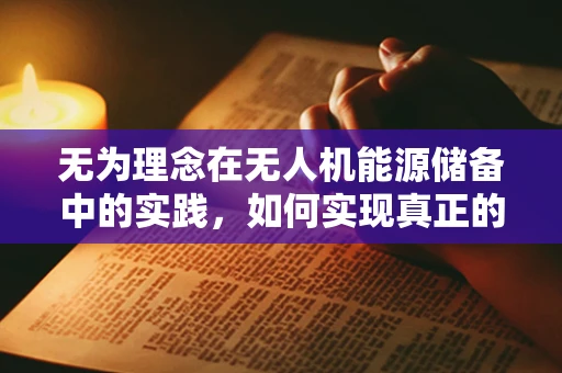 无为理念在无人机能源储备中的实践，如何实现真正的‘无为’管理？