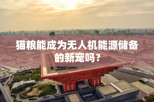 猫粮能成为无人机能源储备的新宠吗？