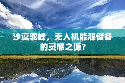 沙漠驼峰，无人机能源储备的灵感之源？