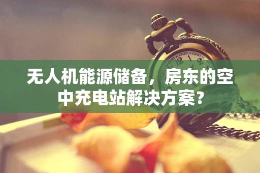 无人机能源储备，房东的空中充电站解决方案？
