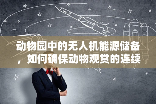 动物园中的无人机能源储备，如何确保动物观赏的连续性？