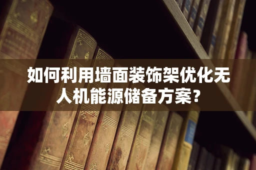 如何利用墙面装饰架优化无人机能源储备方案？