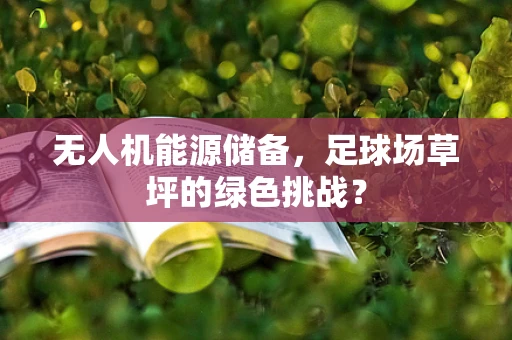 无人机能源储备，足球场草坪的绿色挑战？