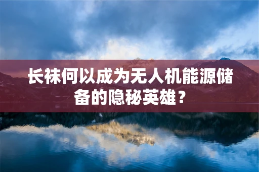 长袜何以成为无人机能源储备的隐秘英雄？
