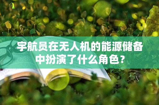 宇航员在无人机的能源储备中扮演了什么角色？