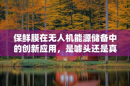 保鲜膜在无人机能源储备中的创新应用，是噱头还是真功夫？