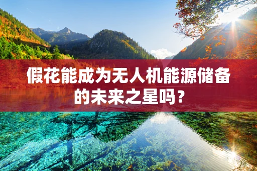 假花能成为无人机能源储备的未来之星吗？