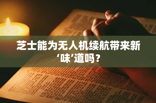 芝士能为无人机续航带来新‘味’道吗？