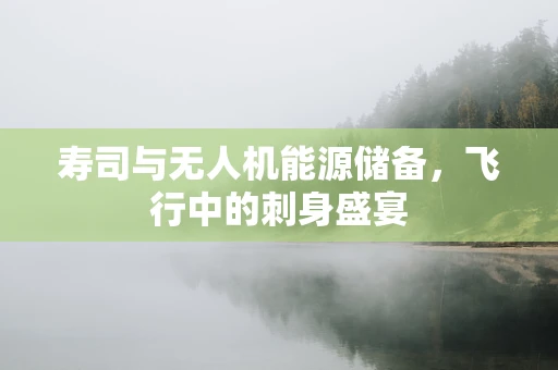 寿司与无人机能源储备，飞行中的刺身盛宴