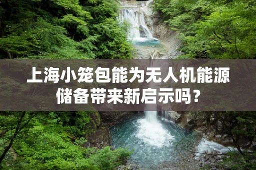 上海小笼包能为无人机能源储备带来新启示吗？