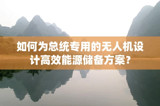 如何为总统专用的无人机设计高效能源储备方案？