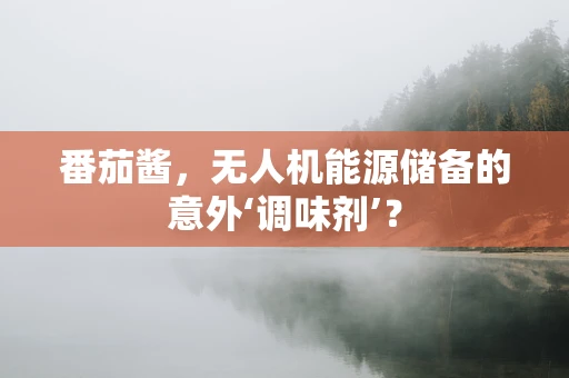 番茄酱，无人机能源储备的意外‘调味剂’？