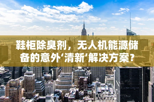 鞋柜除臭剂，无人机能源储备的意外‘清新’解决方案？