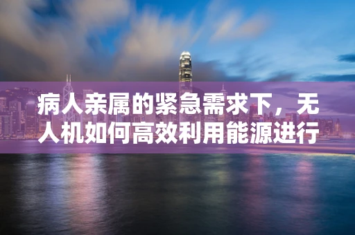 病人亲属的紧急需求下，无人机如何高效利用能源进行快速救援？